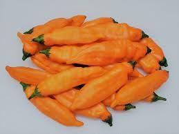 Aji Mango Chile Pepper Seeds for Planting heirloom & Non-GMO Seeds